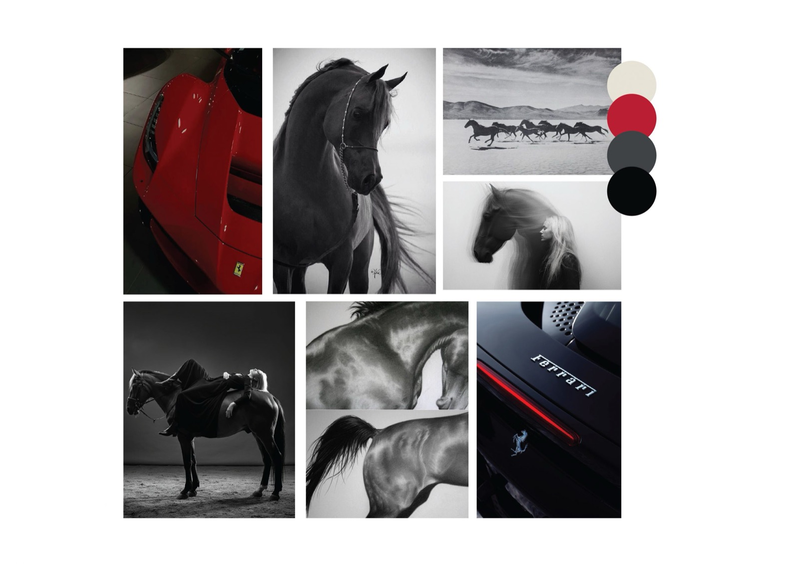 Rawah Stud equestrian brand identity
