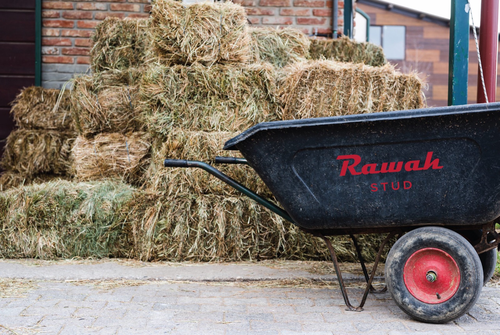 Rawah Stud equestrian brand identity
