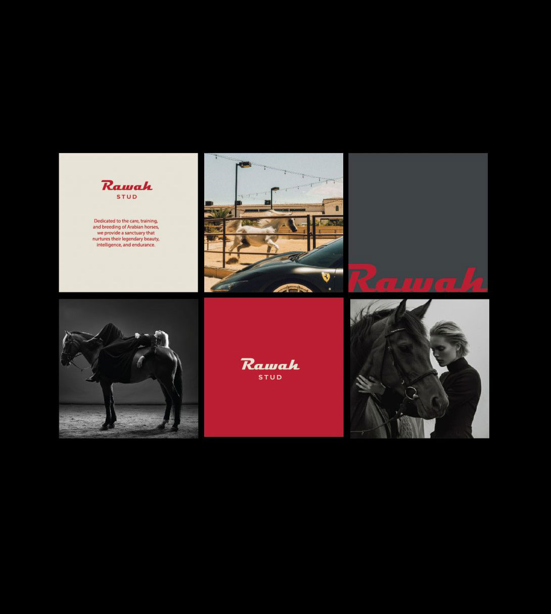 Rawah Stud equestrian brand identity